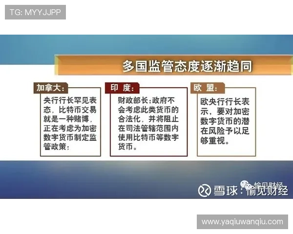 稳胆的意思是什么 泛体育平台对比防骗避坑 稳胆的意思是什么 泛体育平台对比防骗避坑